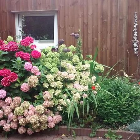 1 Raum Appartement Mit Kuechenzeile In Kappeln Exterior foto